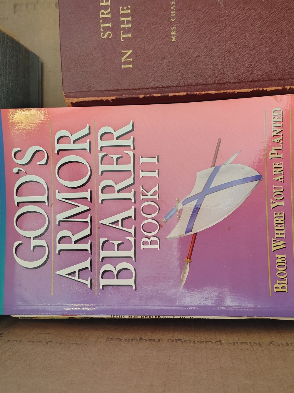 God's Armor Bearer Book II - Pink to Purple Gradient Cover